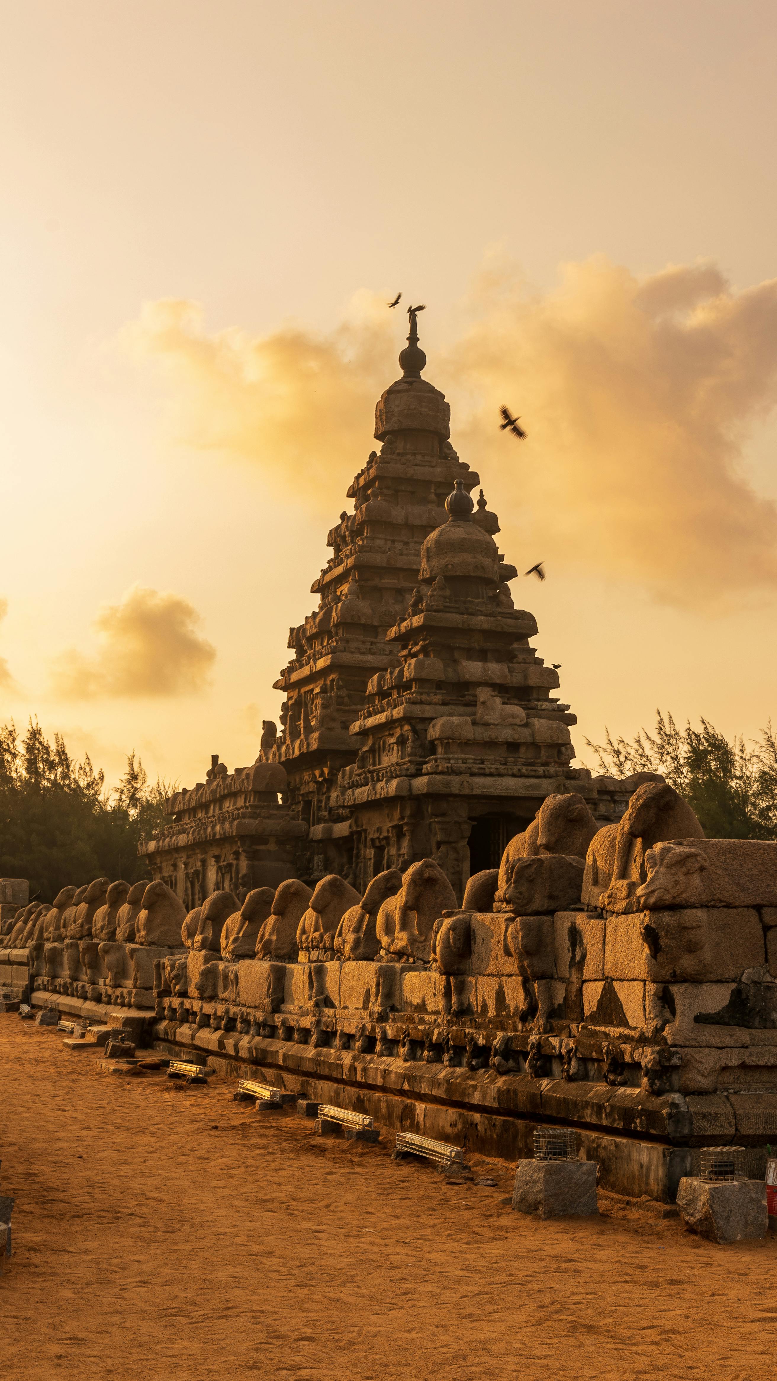 7 Hill Escapes In Tamil Nadu You Should Visit