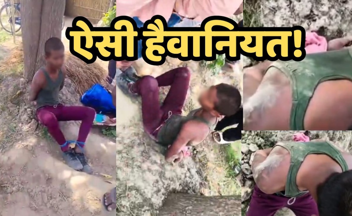 मासूम ने पेड़ से तोड़ लिया आम, तो बगीचे के मालिक ने बांधकर दी ऐसी खौफनाक सजा, Video Viral