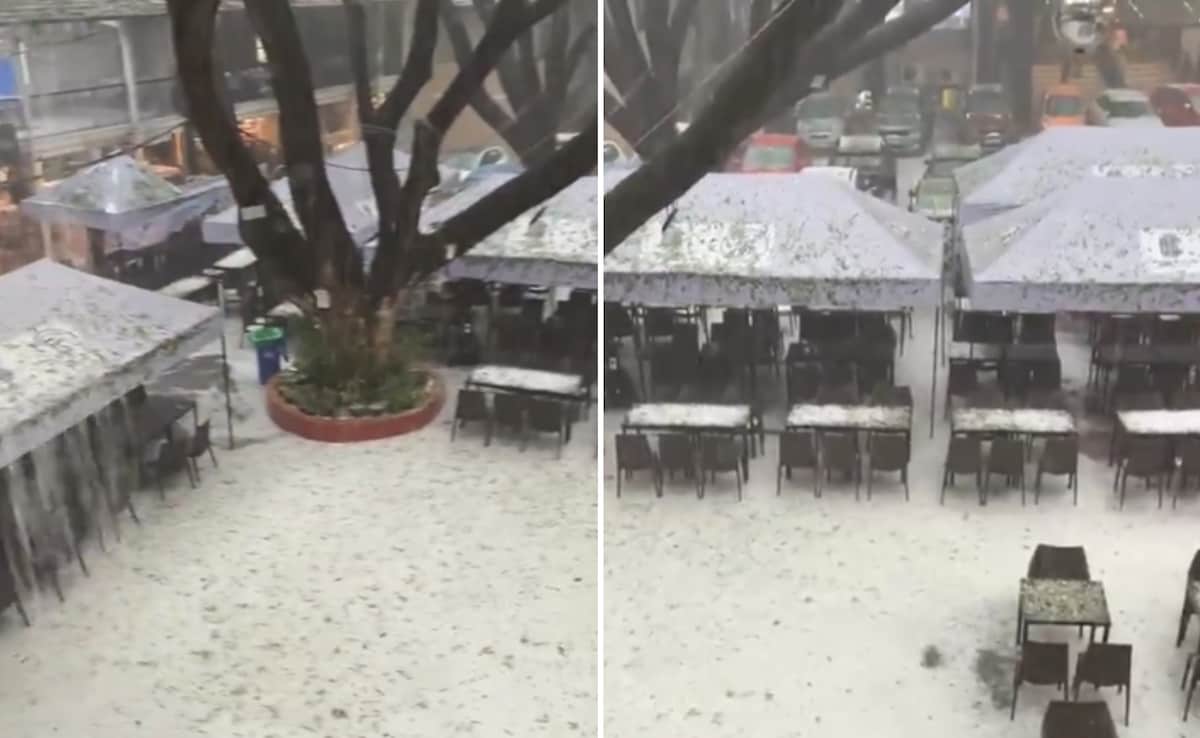 The Art of Baking: From Classic Bread to Artisan Pastries