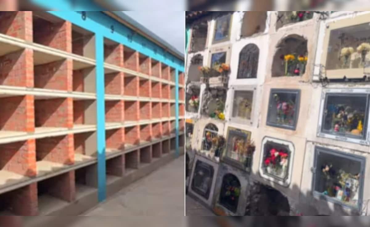 Latest and Breaking News on NDTV