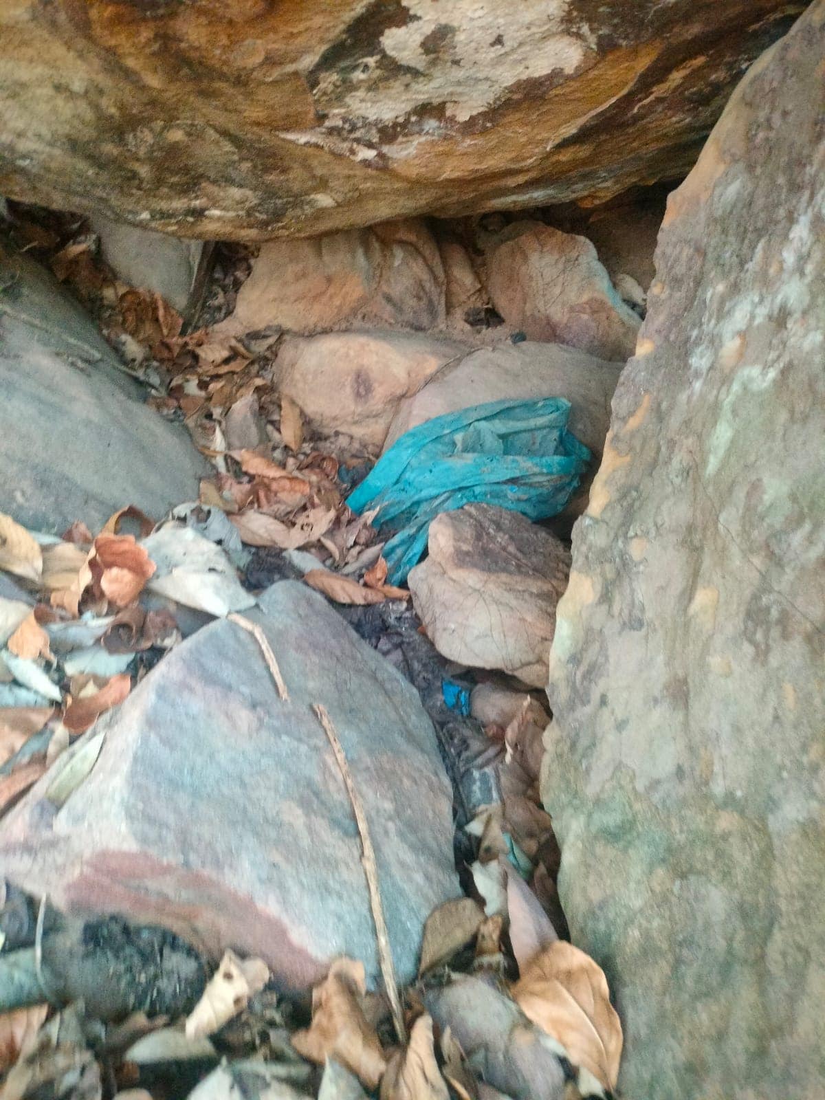 Latest and Breaking News on NDTV Latest and Breaking News on NDTV