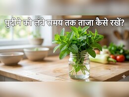गर्मियों में बार-बार मुरझा जाता है पुदीने का पौधा? ये रहा लंबे समय तक फ्रेश रखने का देसी जुगाड़!