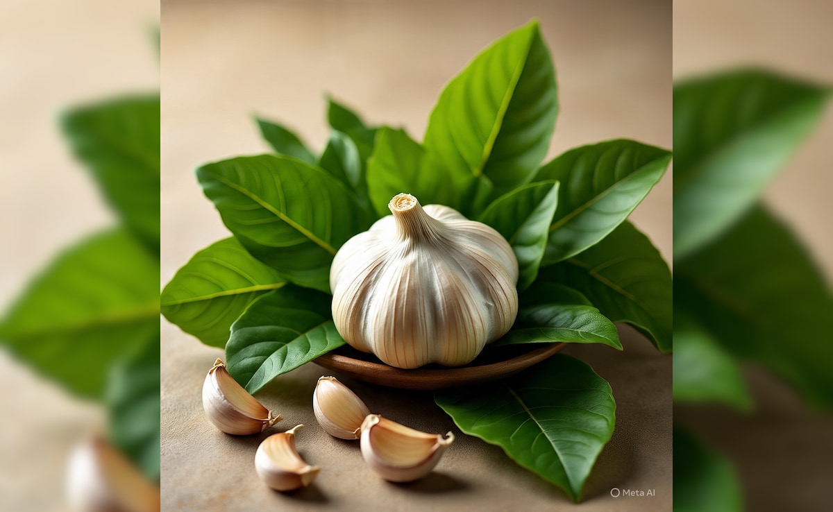 क्या आप जानते हैं लहसुन के पत्ते खाने से क्या होता है? इन 4 लोगों के लिए औषधि से कम नहीं...