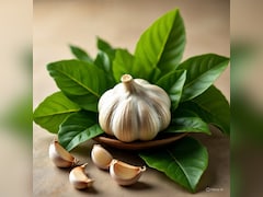 क्या आप जानते हैं लहसुन के पत्ते खाने से क्या होता है? इन 4 लोगों के लिए औषधि से कम नहीं...