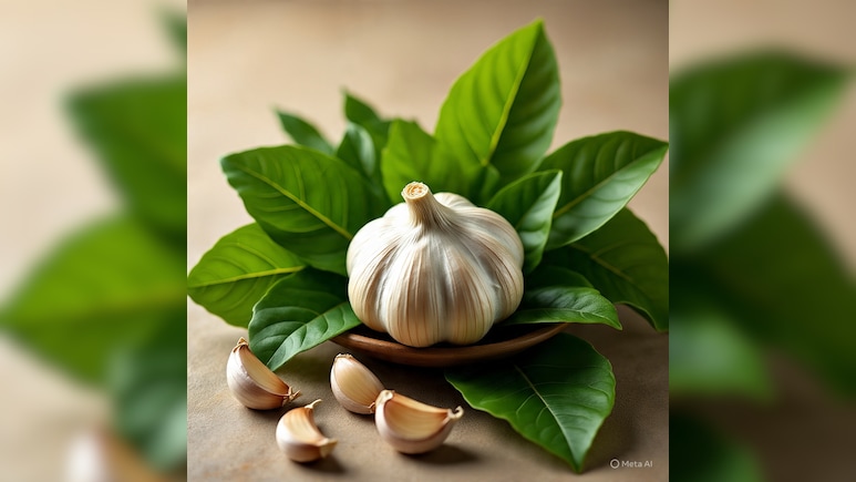 क्या आप जानते हैं लहसुन के पत्ते खाने से क्या होता है? इन 4 लोगों के लिए औषधि से कम नहीं...