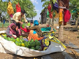 Success Story: कोरोना काल की त्रासदी बनी टर्निंग पॉइंट! आगर मालवा के किसान चेन सिंह ने शुरू की पपीता खेती, आज कमा रहे लाखों