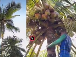 Only In Kerala, Get A Coconut Harvester Like A Cab On An App. Anand Mahindra Posts Viral Video