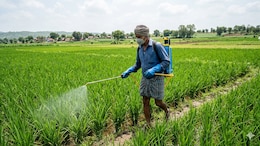 Regular Exposure To Pesticides May Raise Cancer Risk By 150%, Says New Study