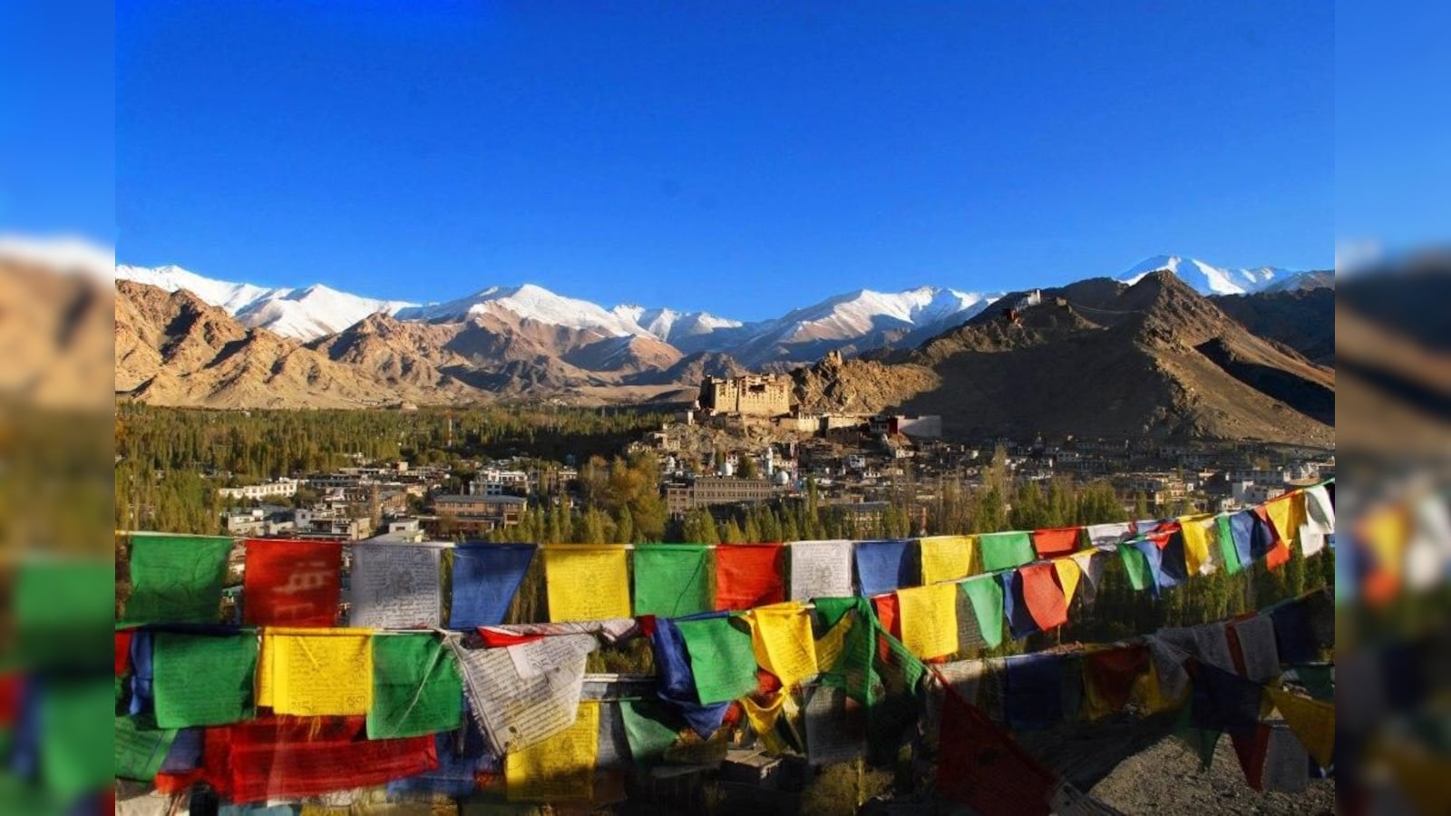 Ladakh Faces Changing Rainfall Patterns Impacting Environment and Apricot Farming
