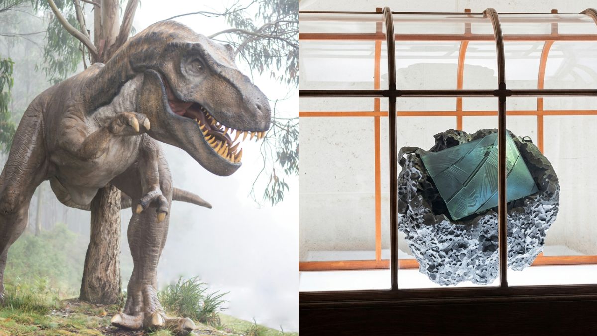 Handbag Made Of 'Dinosaur Leather' Is Selling For Rs 5 Crore At Auction