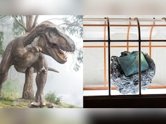 6 करोड़ साल पुराने डायनासोर से बना हैंडबैग! बना दुनिया का सबसे अनोखा फैशन आइटम, कीमत ने उड़ाए होश