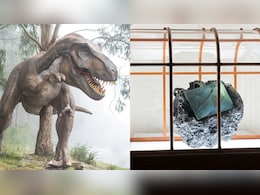 साइंस+ फैशन का कमाल: टी‑रेक्स के कोलेजन से बना दुनिया का सबसे अनोखा हैंडबैग