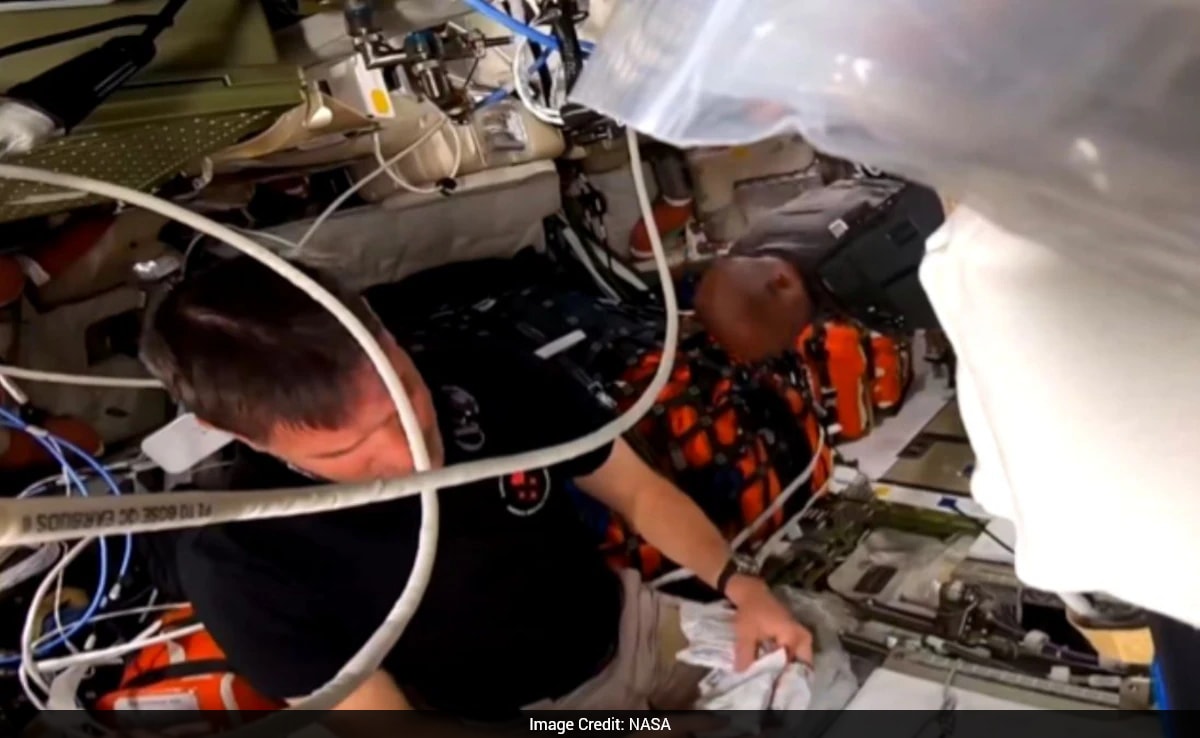 The Art of Baking: From Classic Bread to Artisan Pastries