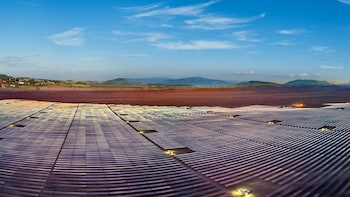 Sterling And Wilson Shares Rise 14% After Large Tender Win From Coal India