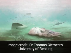 World's 'Oldest' Octopus Was Not Even An Octopus. New Scans Reveal What It Was