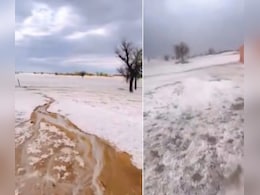 रेगिस्तान में बिछ गई बर्फ की सफेद चादर, बीकानेर का यह नजारा देख लोग बोले- 'ये राजस्थान है या कश्मीर?'