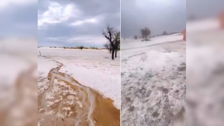 रेगिस्तान में बिछ गई बर्फ की सफेद चादर, बीकानेर का यह नजारा देख लोग बोले- 'ये राजस्थान है या कश्मीर?'