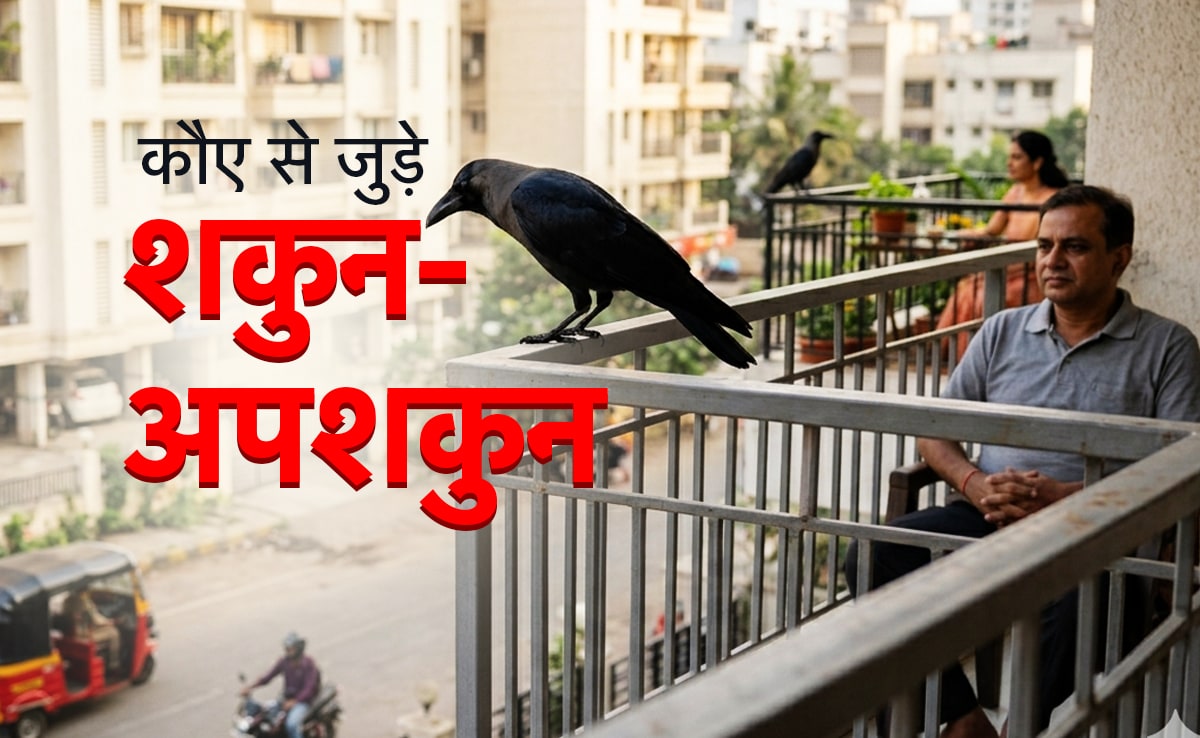 Crow Related Omen: कौए से जुड़े बड़े शकुन-अपशकुन, जो खुशी और गम मिलने का पहले ही दे देते हैं संकेत