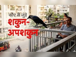 Crow Related Omen: कौए से जुड़े बड़े शकुन-अपशकुन, जो खुशी और गम मिलने का पहले ही दे देते हैं संकेत
