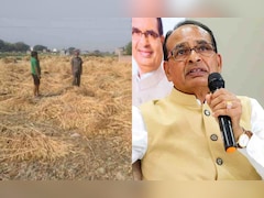 कृषि मंत्री ने बताया बेमौसम बारिश और ओलावृष्टि से कितना हुआ फसलों को नुकसान, मुआवजे पर दी ये जानकारी