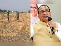 कृषि मंत्री ने बताया बेमौसम बारिश और ओलावृष्टि से कितना हुआ फसलों को नुकसान, मुआवजे पर दी ये जानकारी