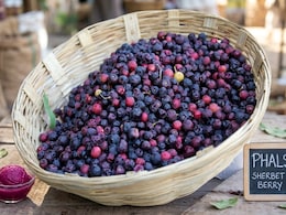 An Expert Explains How Phalsa Berries Help Regulate Blood Sugar Spikes During Summer