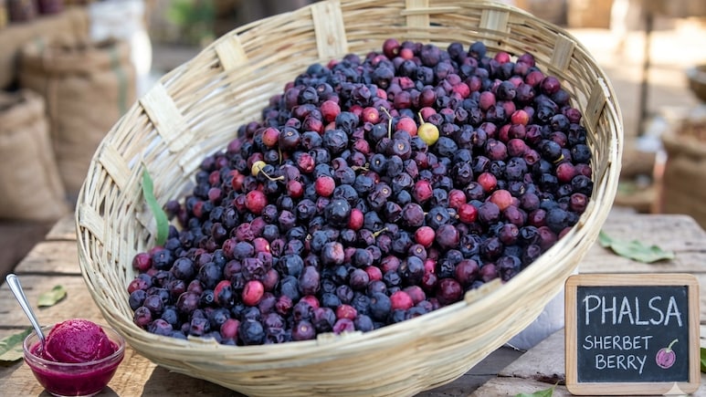 An Expert Explains How Phalsa Berries Help Regulate Blood Sugar Spikes During Summer