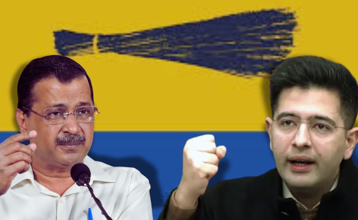 Raghav Chadha's BJP Shocker For Arvind Kejriwal. 6 Other MPs To Switch Too