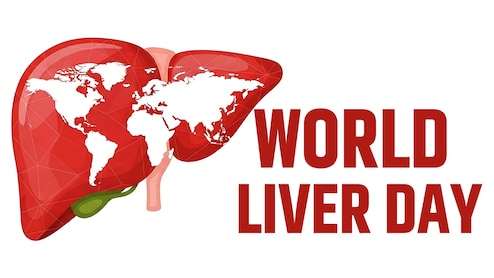 World Liver Day 2026 : लिवर को रखना है हेल्दी तो खाने में शामिल करें ये 6 चीजें