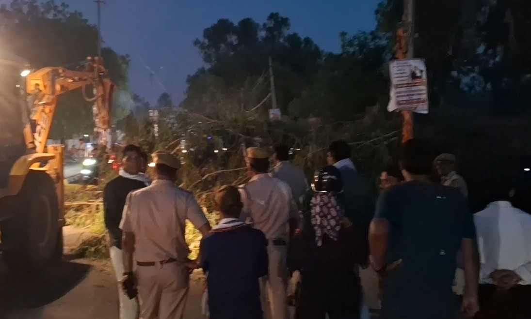 राजस्थान के बूंदी में बड़ा हादसा, ट्रैफिक सिग्नल पर गिरा सफेदे का विशाल पेड़, कई लोग दबे