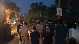राजस्थान के बूंदी में बड़ा हादसा, ट्रैफिक सिग्नल पर गिरा सफेदे का विशाल पेड़, कई लोग दबे