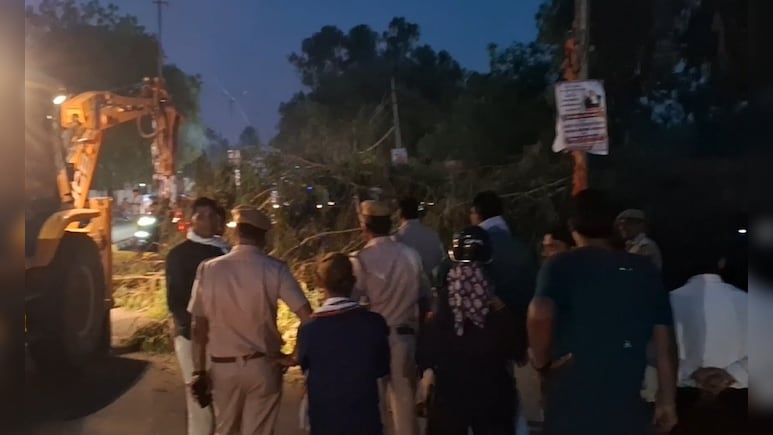 राजस्थान के बूंदी में बड़ा हादसा, ट्रैफिक सिग्नल पर गिरा सफेदे का विशाल पेड़, कई लोग दबे