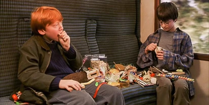 Harry and Ron in Hogwarts Express