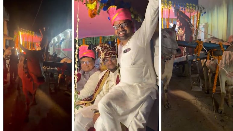 बिहार: न लग्जरी कार, न शोर-शराबा, बारात के लिए सजा दी बैलगाड़ी; दूल्हे के साथ बैठे JDU विधायक