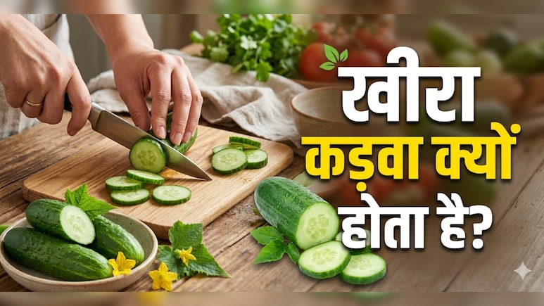 क्या आप जानते हैं आखिर खीरे को काटने से पहले उसे ऊपर से क्यों घिसा जाता है?
