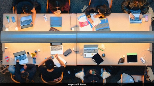 Study Abroad Losing Its Pull? Indian Gen Z Turns To Global Courses In India
