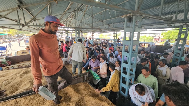 Low Prices, Procurement Delays Leave Madhya Pradesh Farmers With Empty Pockets