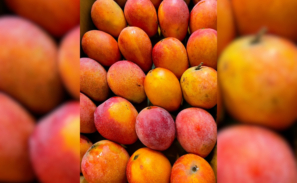 Latest and Breaking News on NDTV