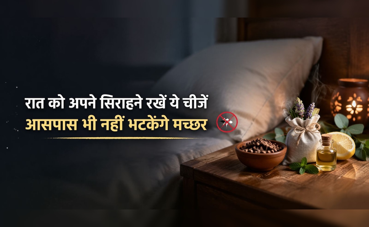 ना धुआं, ना केमिकल वाली मशीन, सोते समय पास में रखें ये चीजें, आसपास भी नहीं भटकेंगे मच्छर