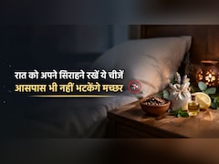 ना धुआं, ना केमिकल वाली मशीन, सोते समय पास में रखें ये चीजें, आसपास भी नहीं भटकेंगे मच्छर