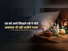 ना धुआं, ना केमिकल वाली मशीन, सोते समय पास में रखें ये चीजें, आसपास भी नहीं भटकेंगे मच्छर