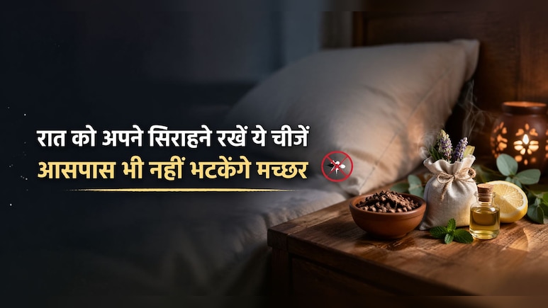 ना धुआं, ना केमिकल वाली मशीन, सोते समय पास में रखें ये चीजें, आसपास भी नहीं भटकेंगे मच्छर