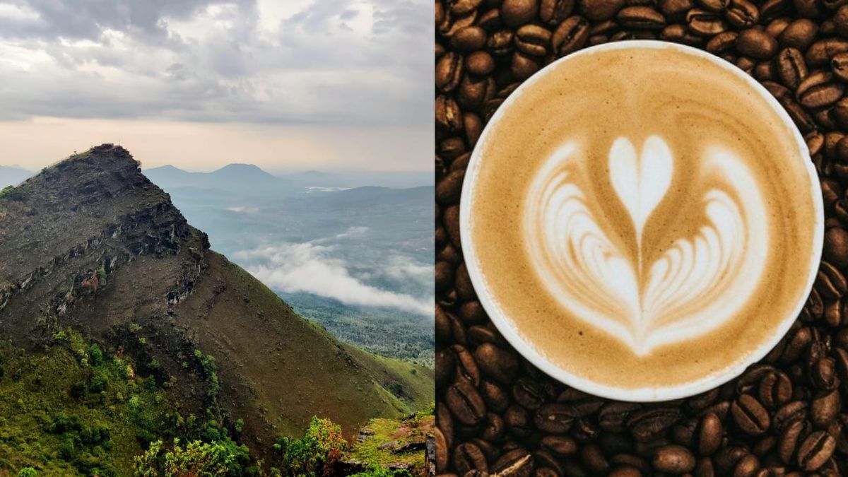 How A Sufi Saint Smuggled 7 Beans To Karnataka And Gave India Its Own Coffee