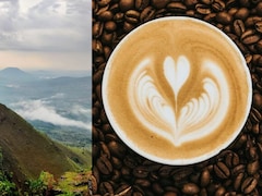 How A Sufi Saint Smuggled 7 Beans To Karnataka And Gave India Its Own Coffee
