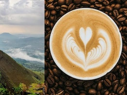 How A Sufi Saint Smuggled 7 Beans To Karnataka And Gave India Its Own Coffee