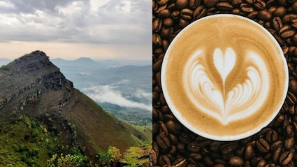 How A Sufi Saint Smuggled 7 Beans To Karnataka And Gave India Its Own Coffee