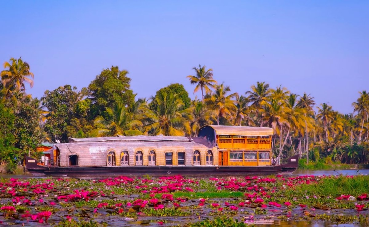 These places offer a beautiful mix of comfort and memorable activities.