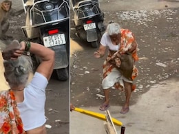 बंदर पर पत्थर फेंकना पड़ा भारी! बुजुर्ग महिला पर किया हमला, वायरल Video पर छिड़ी बहस, आखिर किसकी गलती?