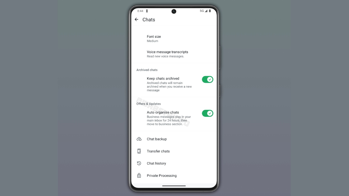 WhatsApp पर बिजनेस चैट्स को फिल्टर करने वाली सेटिंग्स का स्क्रीनशॉट