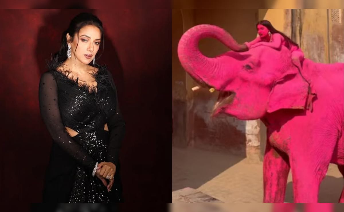 After 'Pink' Elephant Death, Rupali Ganguly Writes To PM Modi Asking For A Ban On Elephant Rides